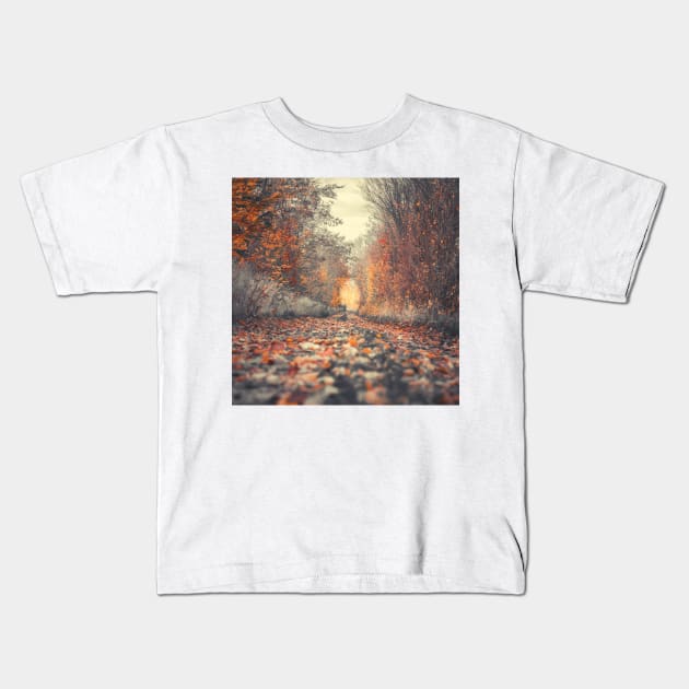 Forest Photography, Forest Pathways, Scandinavian, Nordic, Nature Photography Kids T-Shirt by Nature-Arts